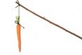 carrotonstickb