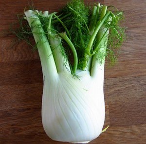 fennel