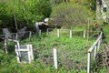 gardenstartb