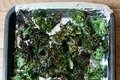 kalechipnewb