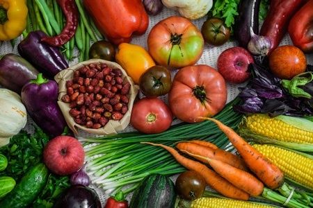 Easy Healthy Vegetarian Recipes
